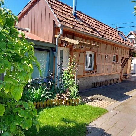Willa Oasis D'Alsace Valff Zewnętrze zdjęcie