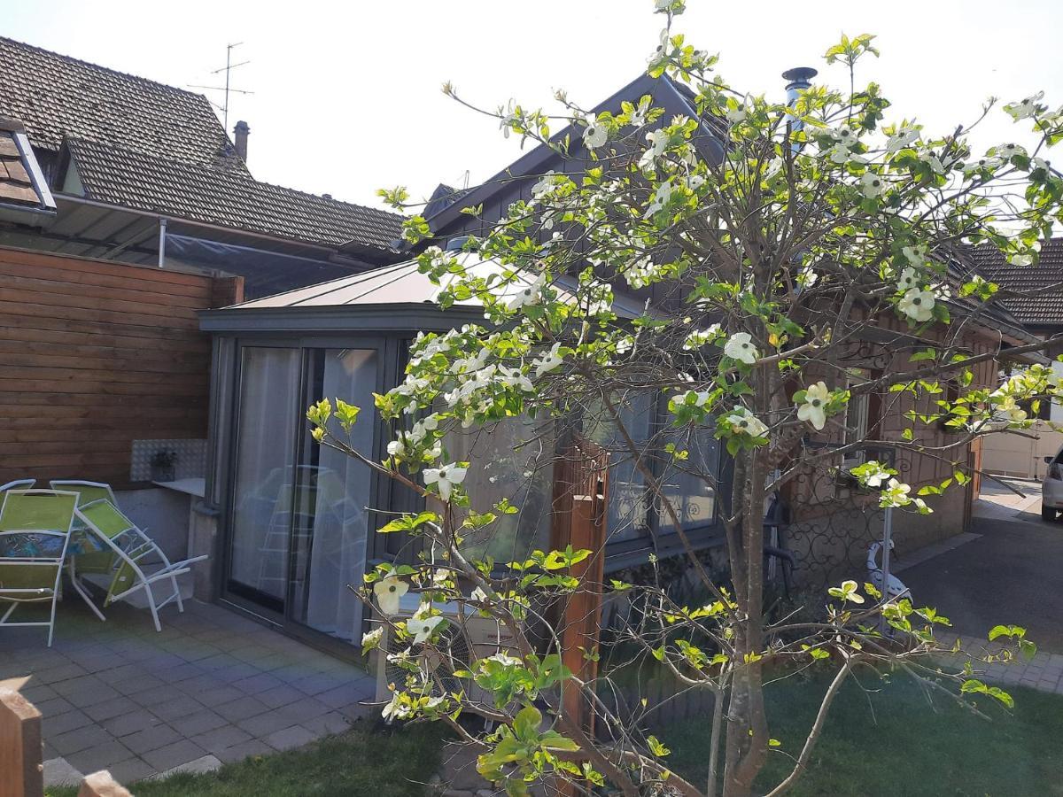 Willa Oasis D'Alsace Valff Zewnętrze zdjęcie