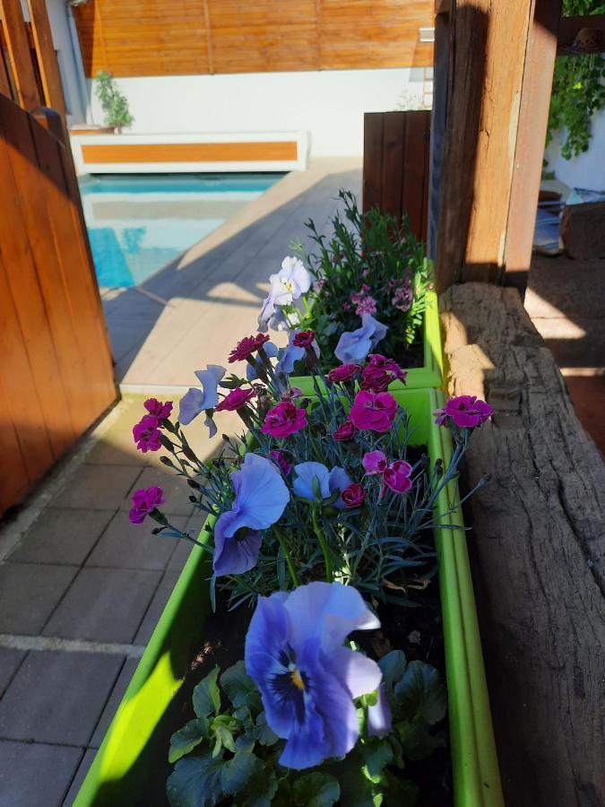 Willa Oasis D'Alsace Valff Zewnętrze zdjęcie